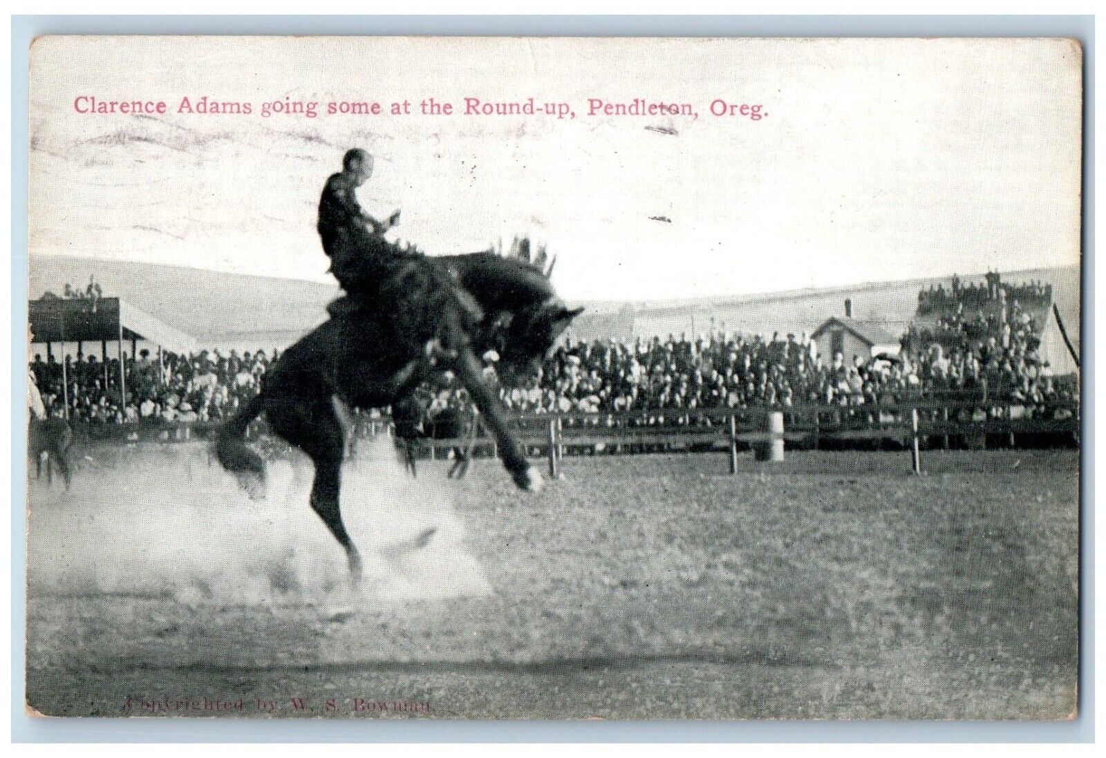 Pendleton Oregon OR Postcard Clarence Adams Going Some At The Round Up Rodeo