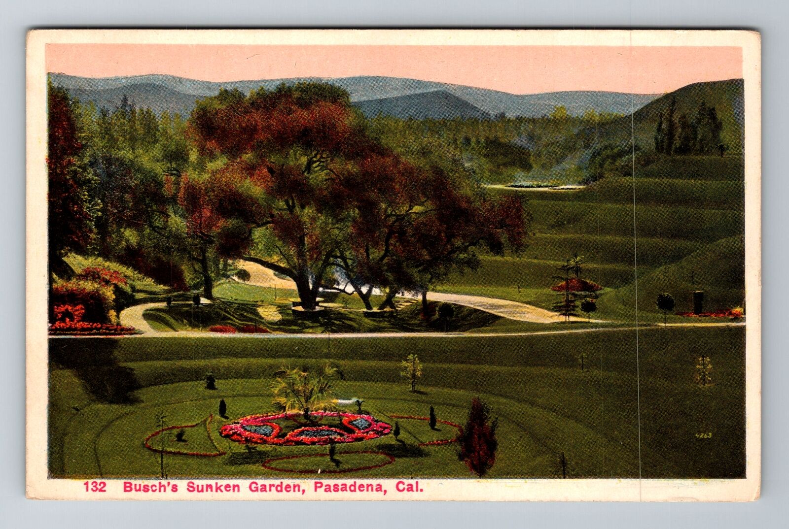 Pasadena CA-California, Busch's Sunken Garden, Antique Souvenir Vintage Postcard