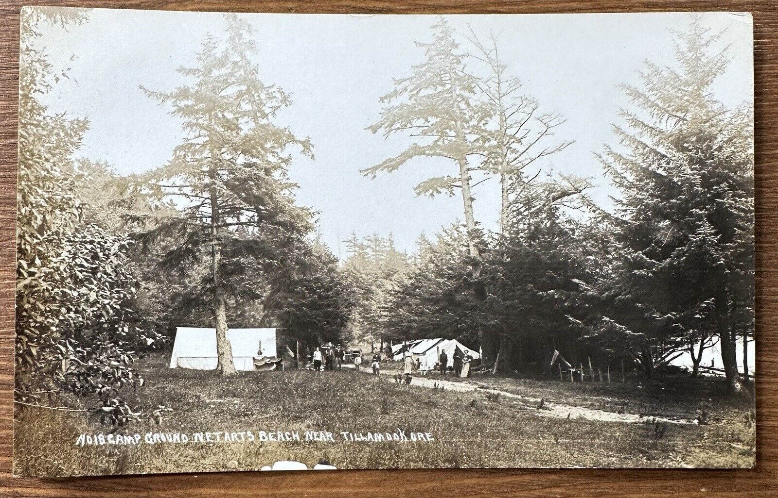 No 18 Camp Ground Netarts Beach Tillamook Oregon OR RPPC Postcard Unposted Photo