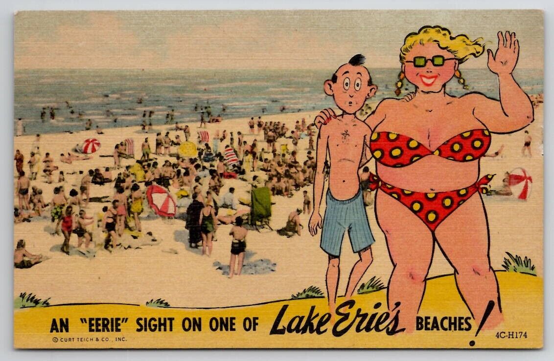 An EERIE Sight on One of Lake Erie\'s Beaches Pennsylvania Postcard C50