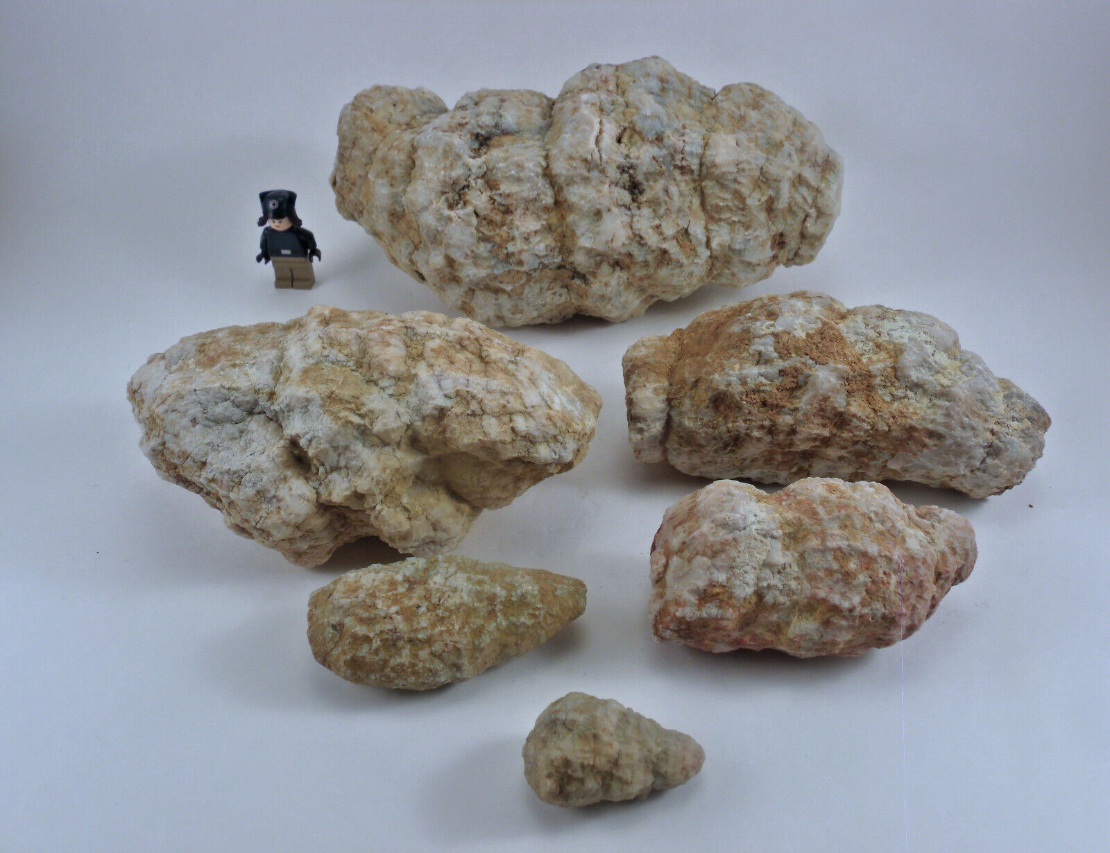 Break Your Own Geodes Bulk Lot 6 Unopened Geodized Fossil Crystal Rattlers 5.8lb