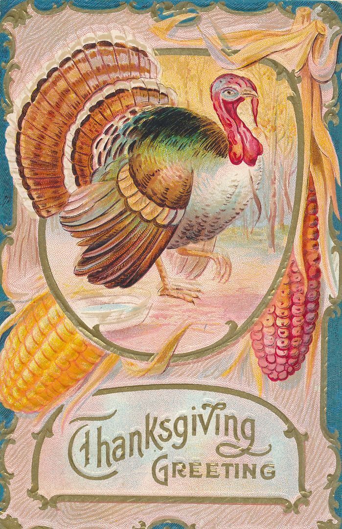 THANKSGIVING - Turkey And Corn Thanksgiving Greeting Postcard - 1911