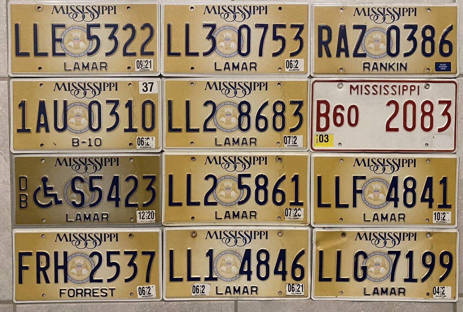 2020 Lot of 12 MISSISSIPPI License Plates EXPIRED