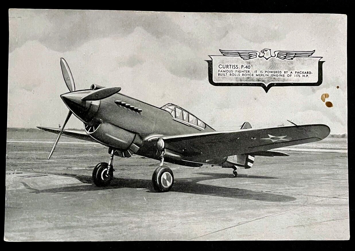 Navy Airplane Original 1940s 5x7 Photo Picture Card Military Plane CURTISS P-40