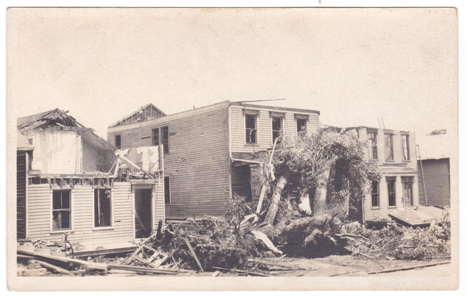 Lorain Ohio Source c. 1924 Tornado Damaged Houses Uprooted Trees Debris RPPC