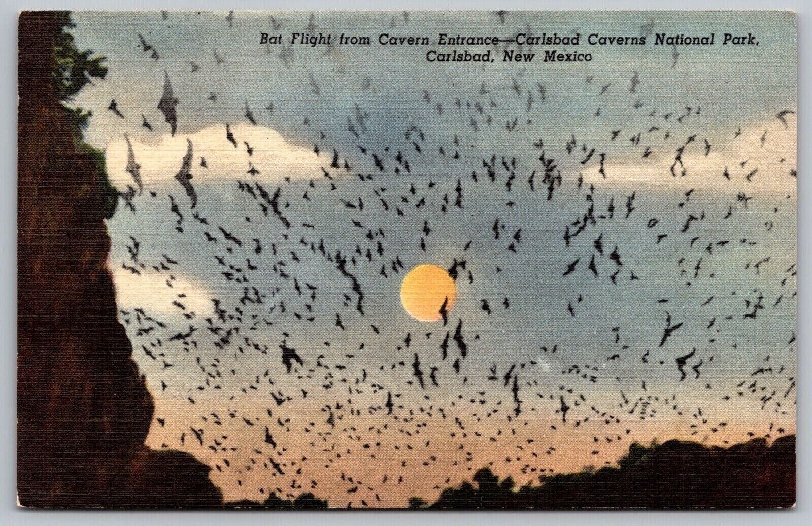 Carlsbad Caverns National Park New Mexico Entrance Bat Flight Linen Postcard