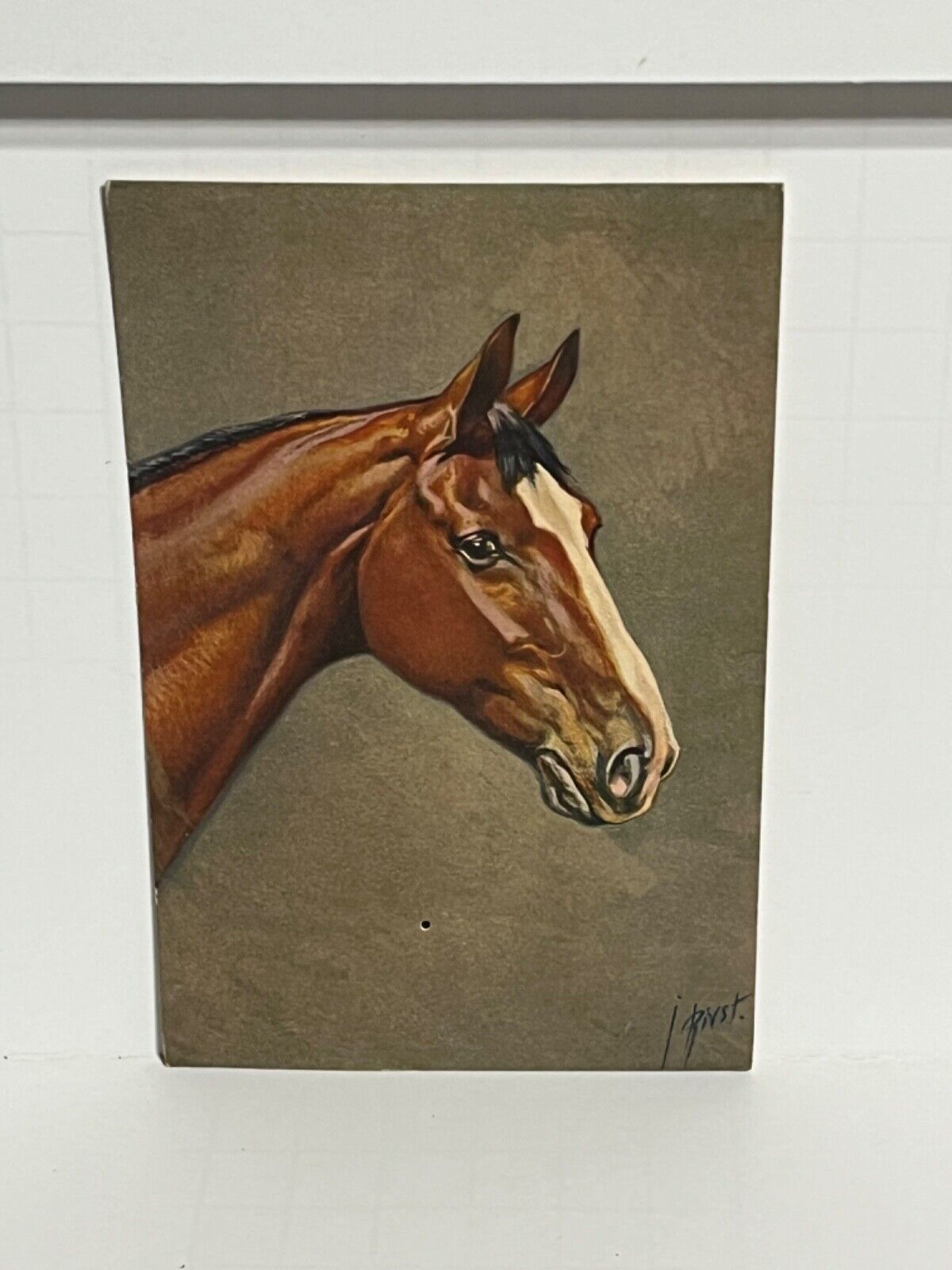 Postcard Horse Portrait Artist Signed J. Rivst #153 A51