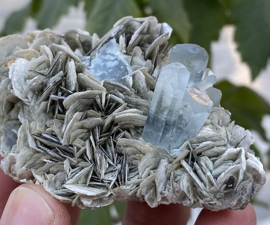 Stunning Natural Sky Blue Aquamarine With Muscovite Specimen 1045 CTS