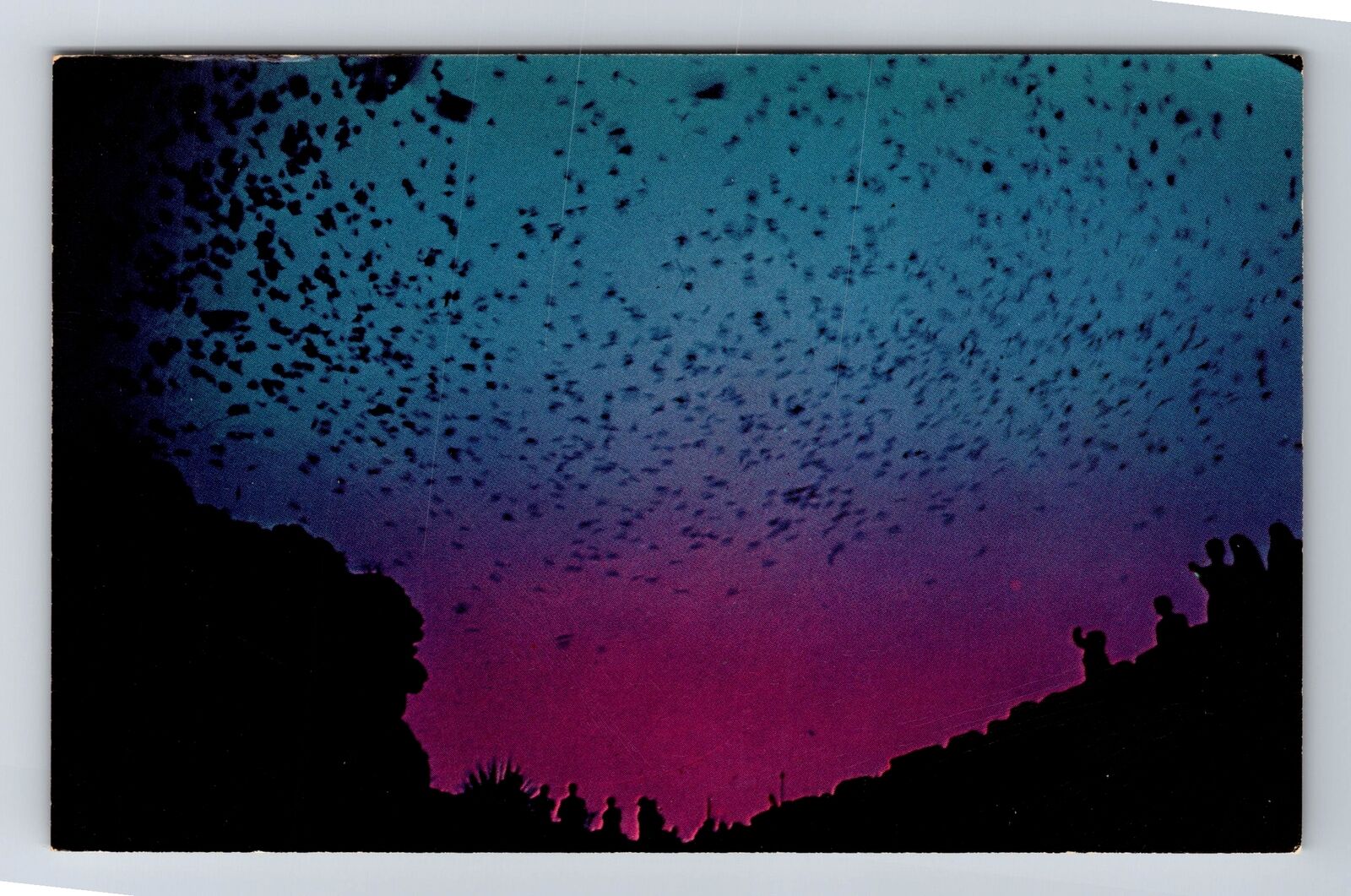 Carlsbad Caverns Natl Park, Bat Flight from Natural Entrance Vintage Postcard