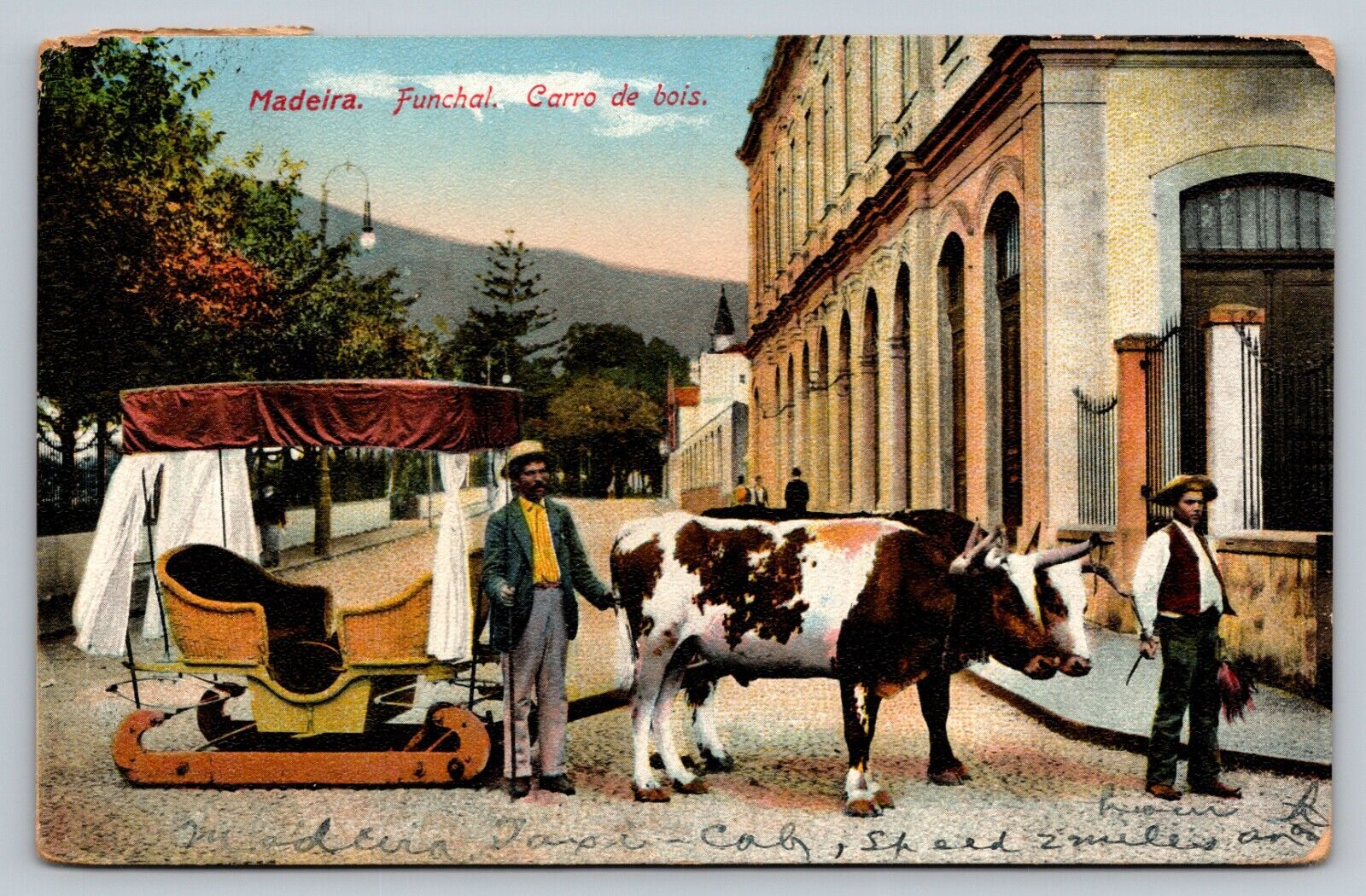 MADEIRA Funchal, Carro de bois, Portugal Ox Cart c1910s Vintage Postcard
