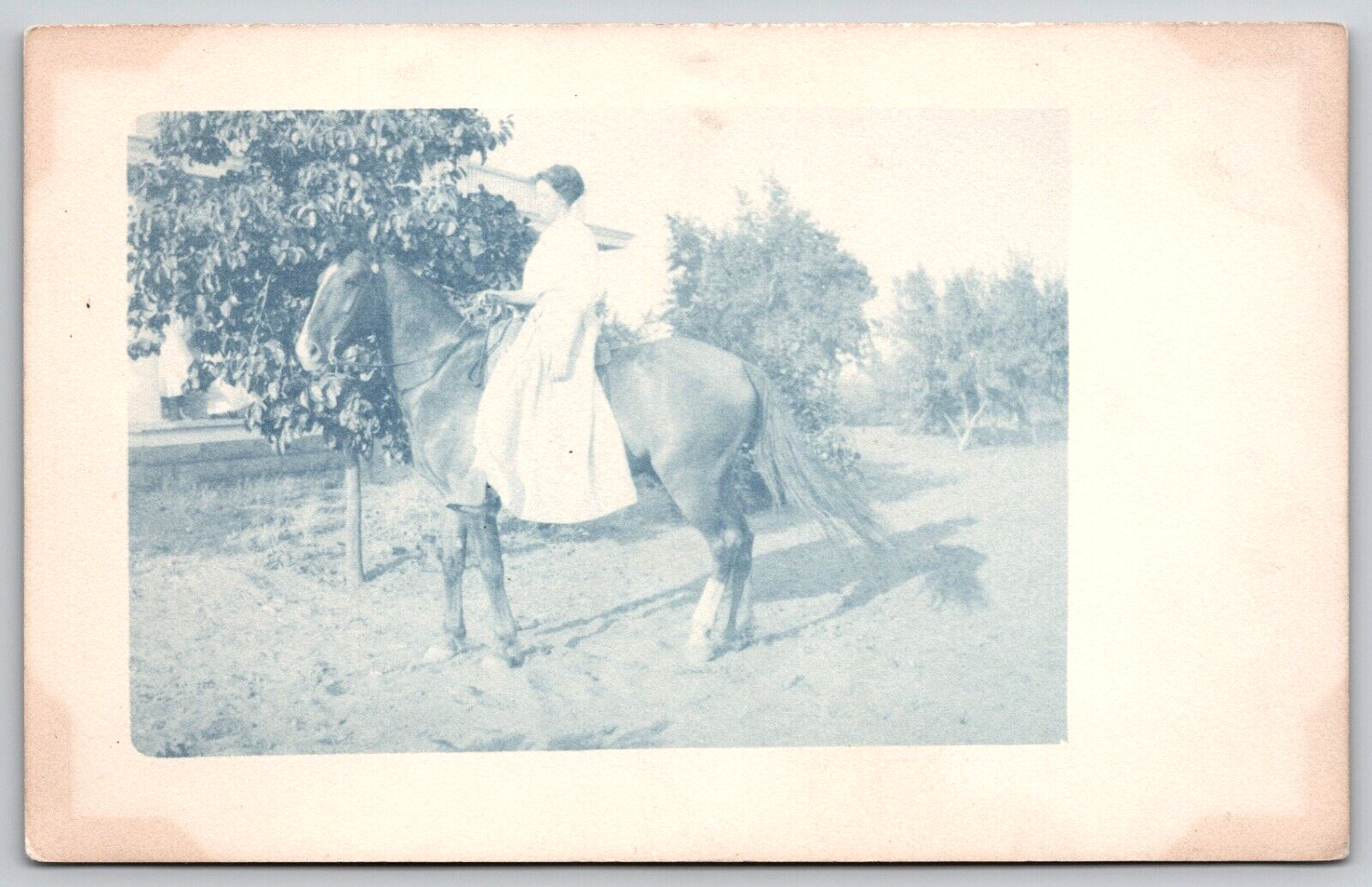 Postcard RPPC, Woman Riding A Horse Unposted