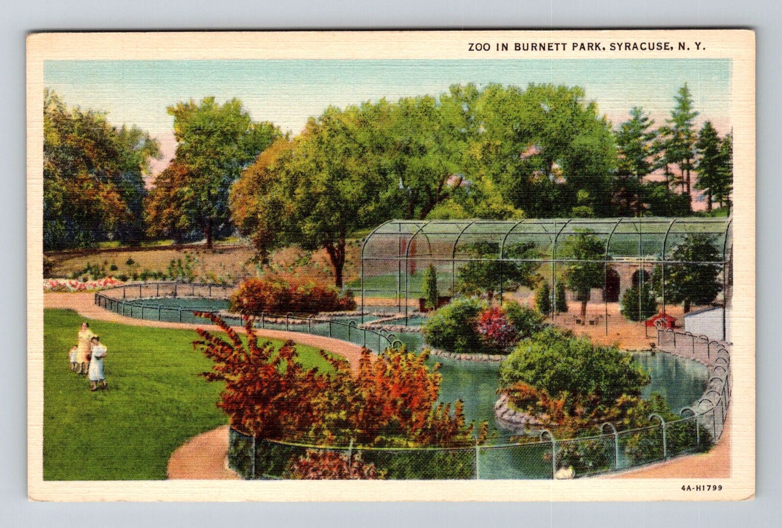 Syracuse NY-New York, Zoo in Burnett Park Vintage Souvenir Postcard