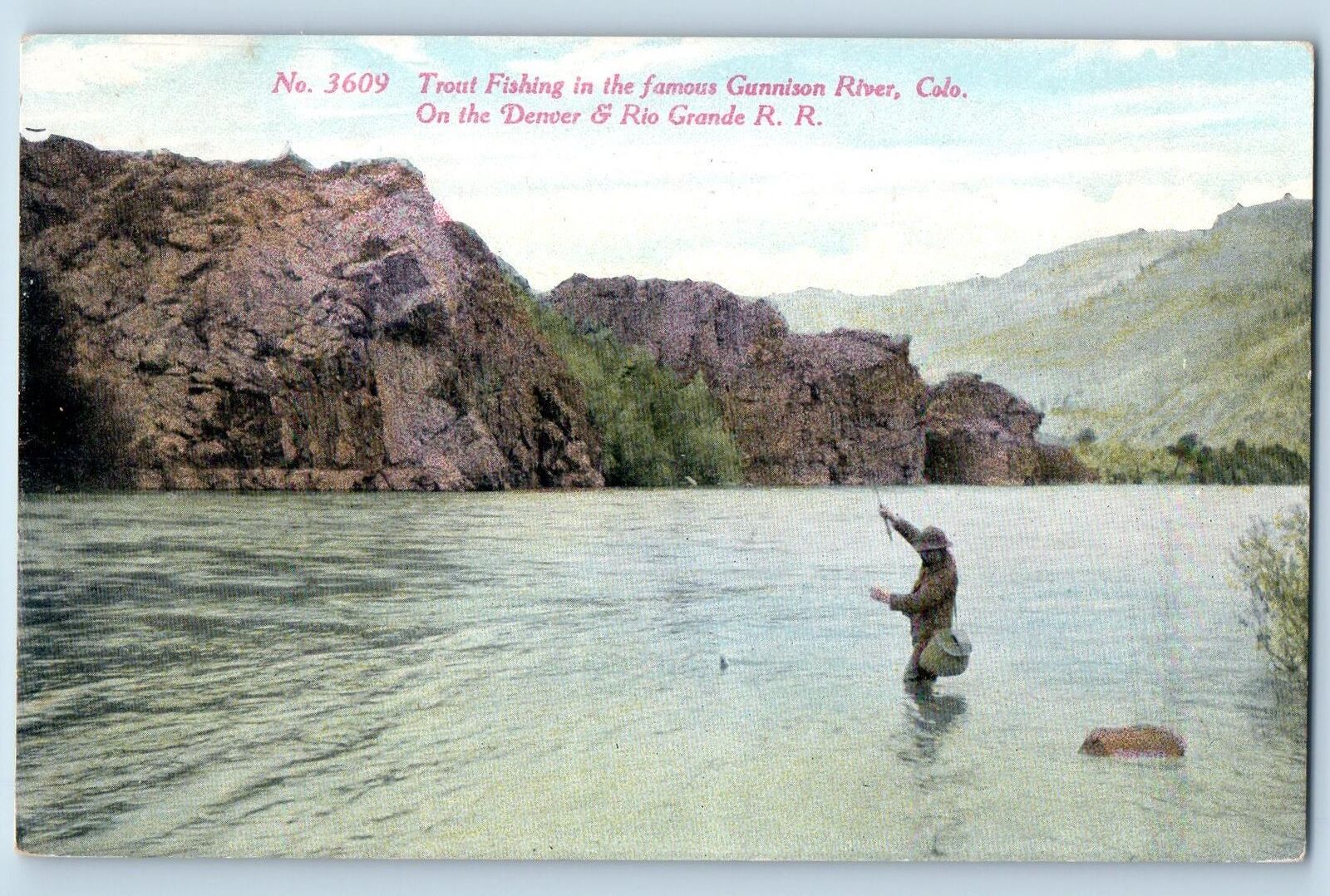 Gunnison Colorado CO Postcard Gunnison River Trout Fishing Scene c1910\'s Antique