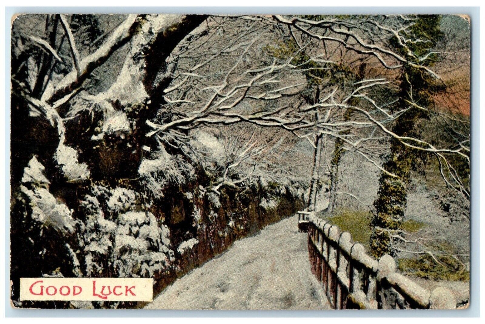1909 Good Luck Forest Winter Scene Saint Joseph Minnesota MN Antique Postcard