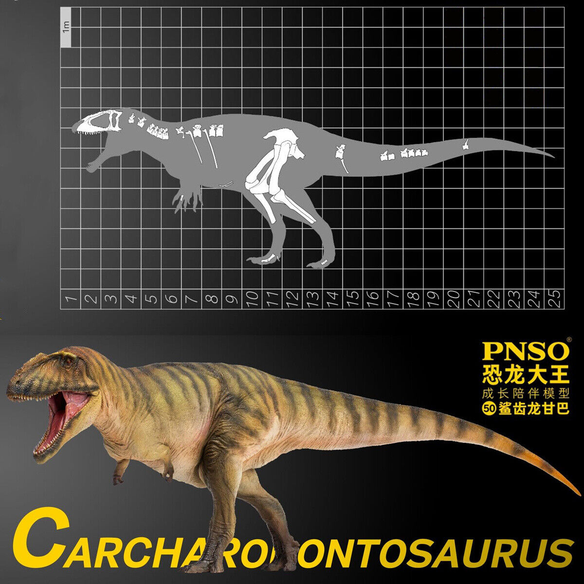 PNSO Carcharodontosaurus Gamba Carcharodontosauridae Dinosaur Animal Model Toy