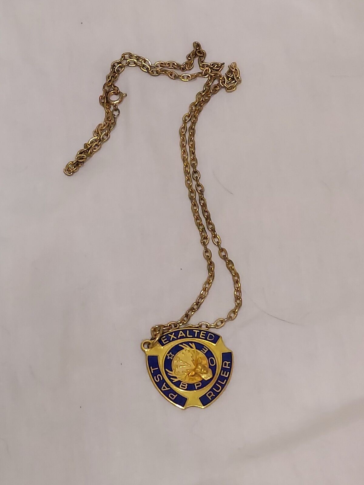 Vintage Elks BPOE Past Exalted Ruler Necklace and Medallion Esperance NY 1984-85