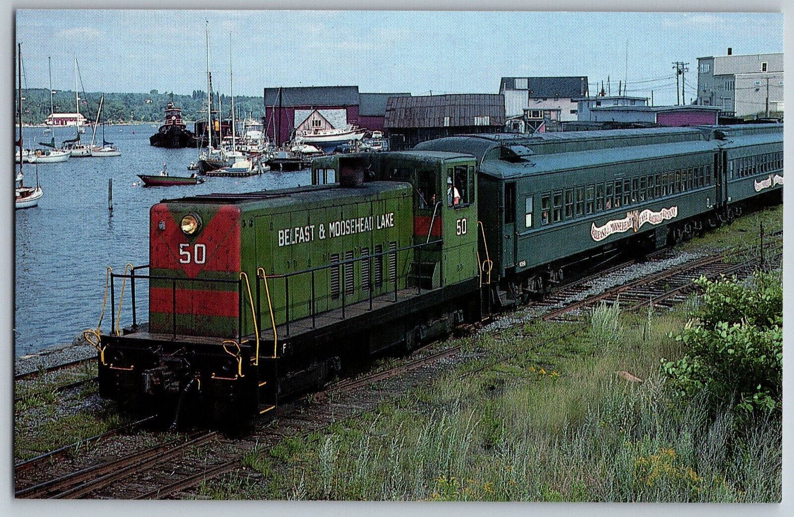 Belfast, Maine ME - Belfast & Moosehead Lake RR #50 Train - Vintage Postcard