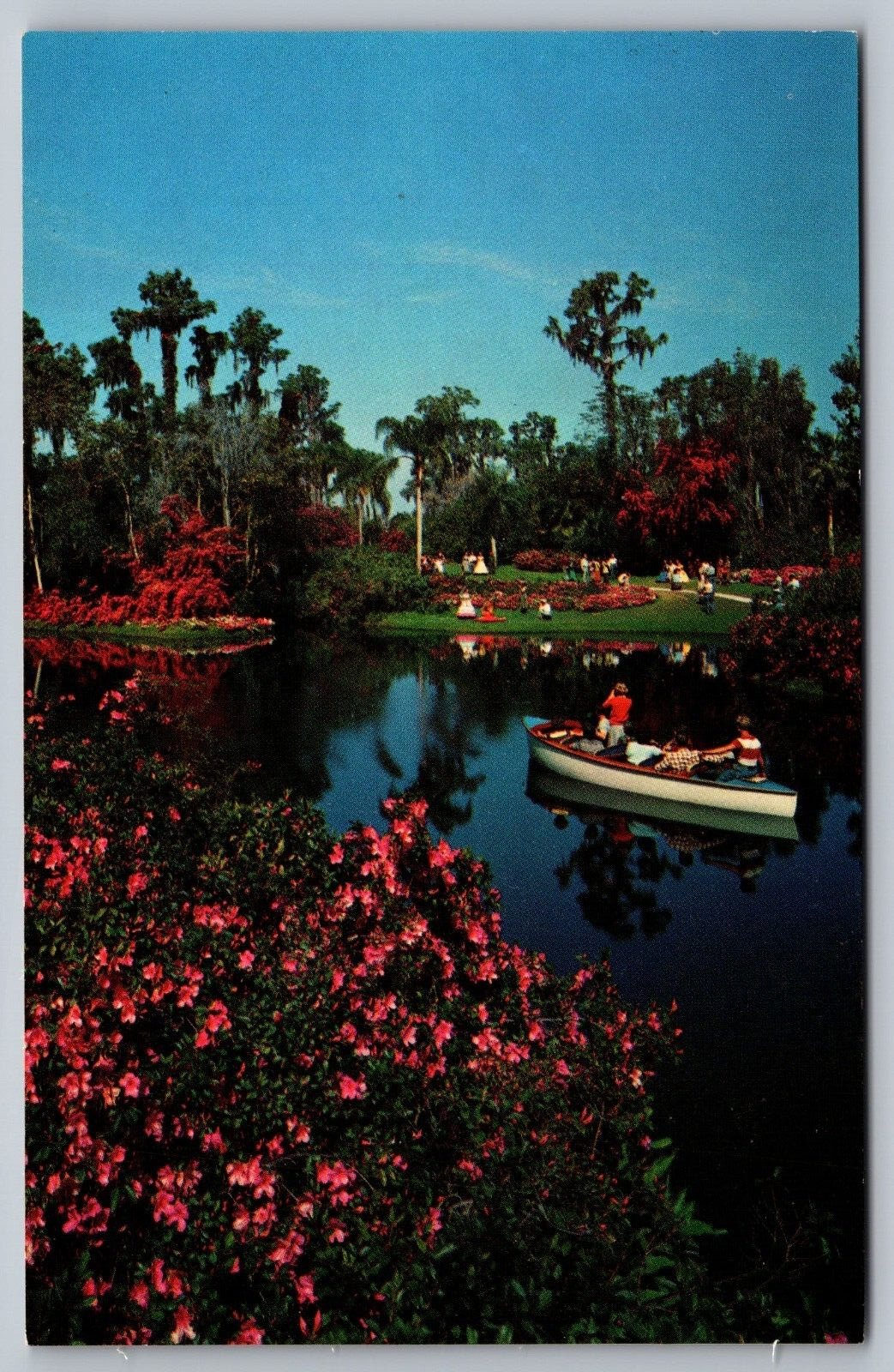 Cypress Gardens Winter Haven Florida Vintage Postcard-Boating