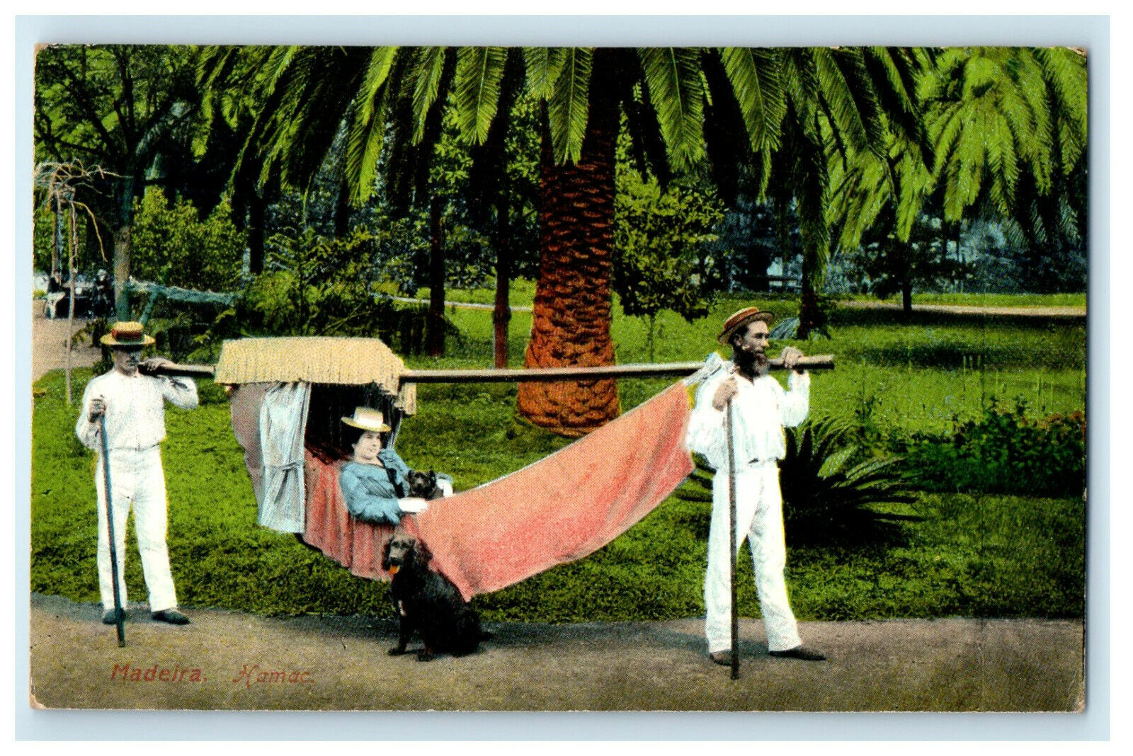 c1910s Two Man, Woman In Hamac, Dog, Madeira Portugal Postcard