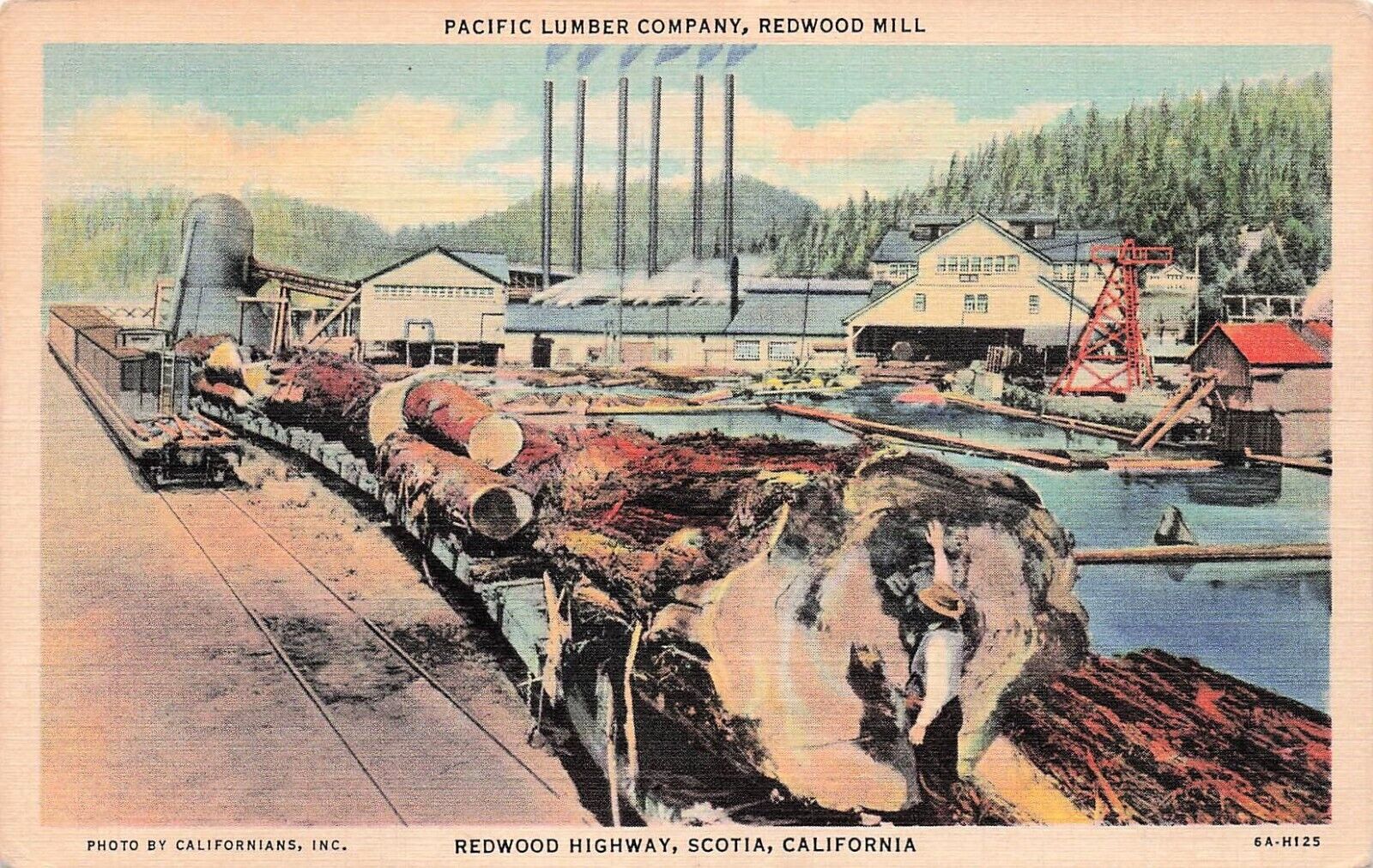 Scotia CA California Redwood Hwy Pacific Lumber Company Lumber Mill Postcard D63