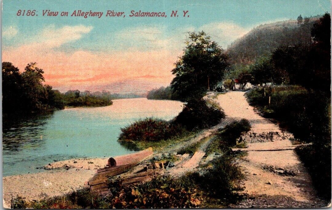 Salamanca NY Allegheny River View Early 1900s Cabin House Road Vintage Postcard