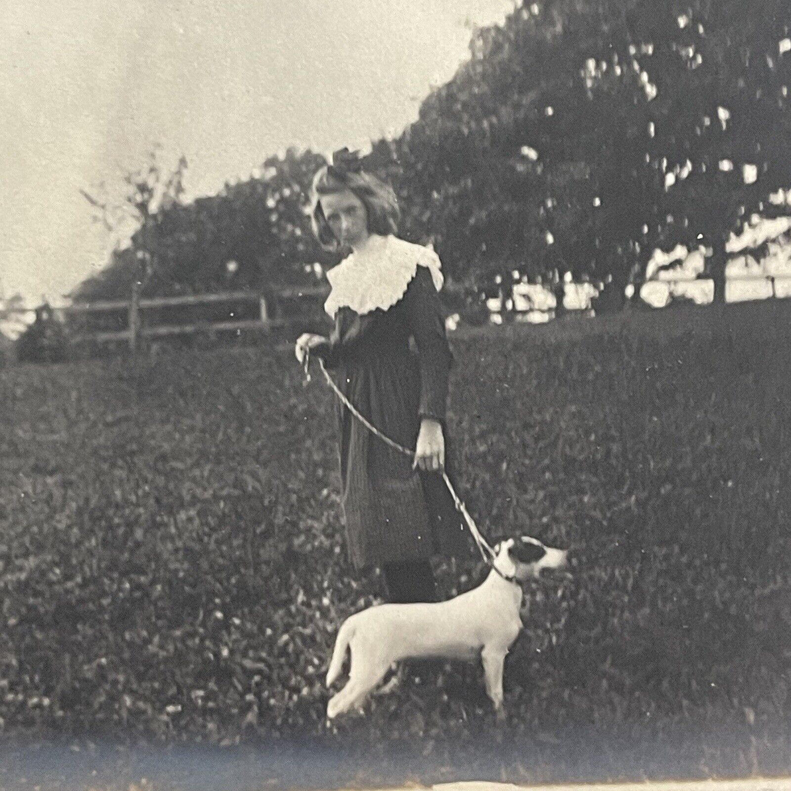 Eerie Creepy Young Lady In Dress With Jack Russell Terrier Dog Vtg Photo