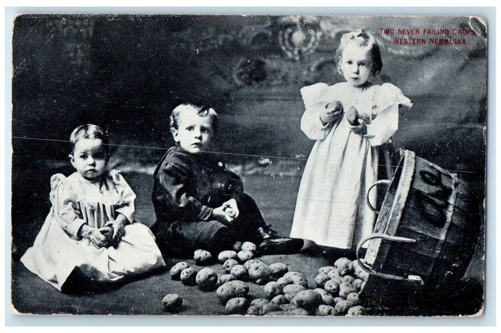 1909 Two Never Failing Crops Western Children Sweet Potatoes Nebraska Postcard