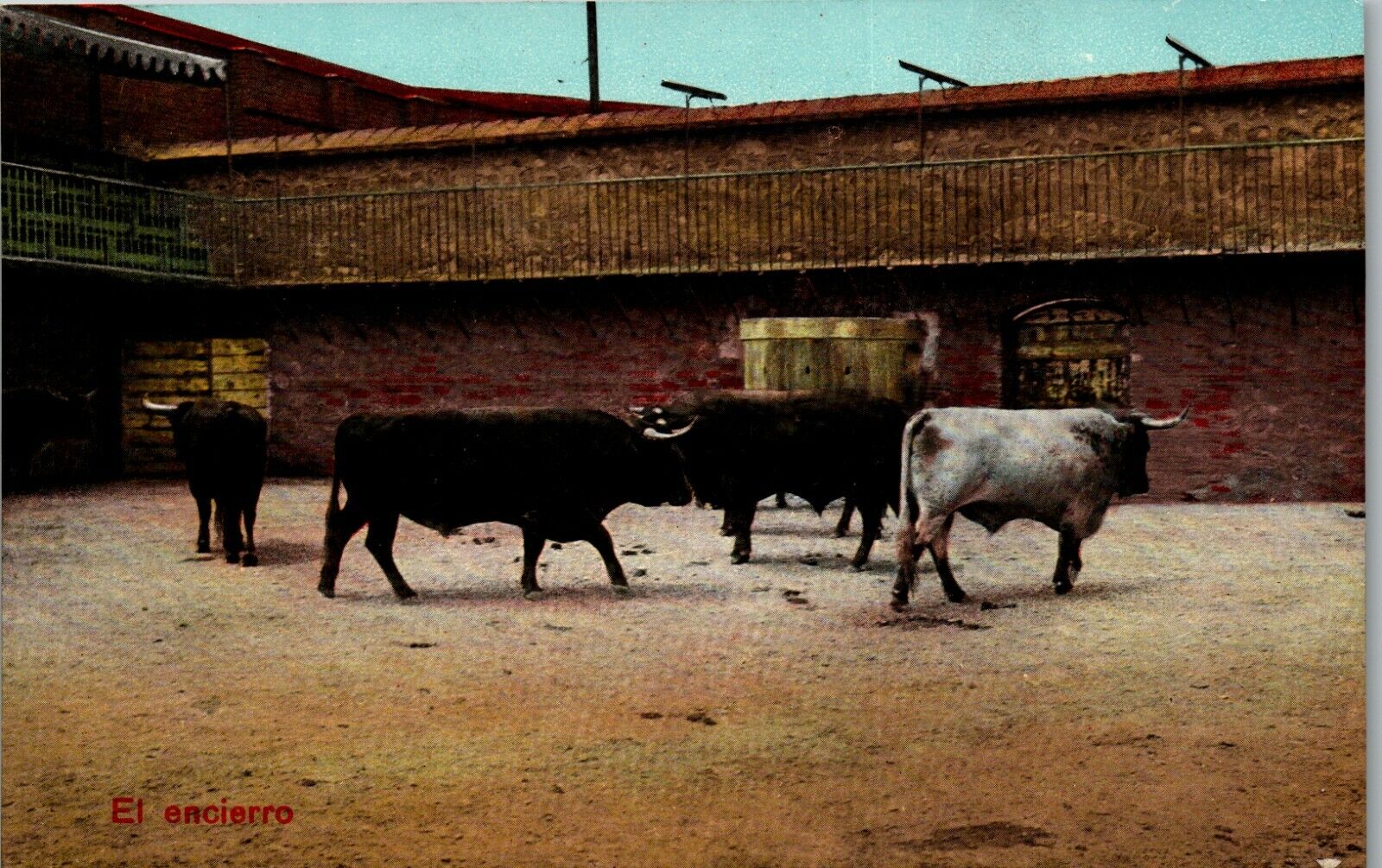 Postcard Bull Fighting Spain 1920s Arena Set of 12 VINTAGE RPPC DD1