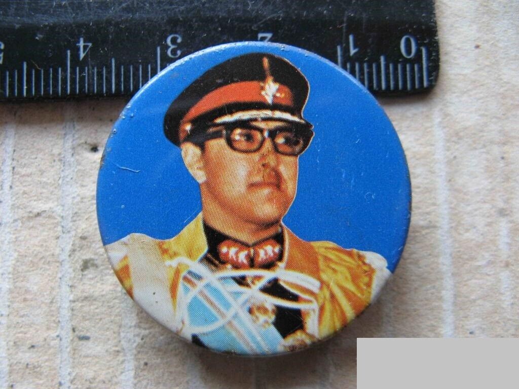 Southeast Asia vintage pin badge RARE