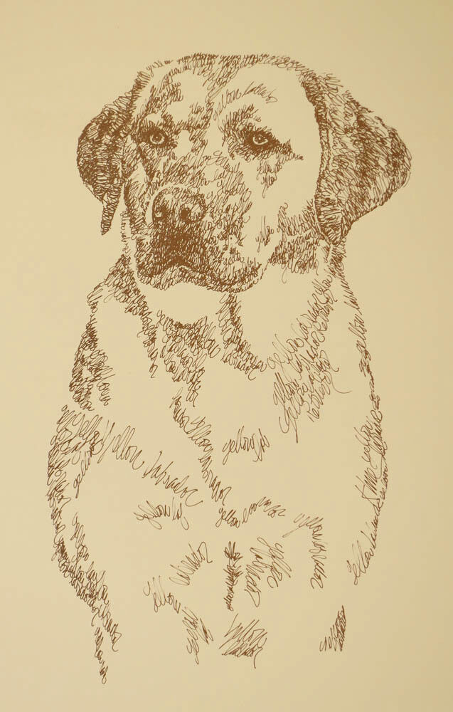 YELLOW LABRADOR RETRIEVER ART PORTRAIT #118 Kline will add dogs name free. GIFT