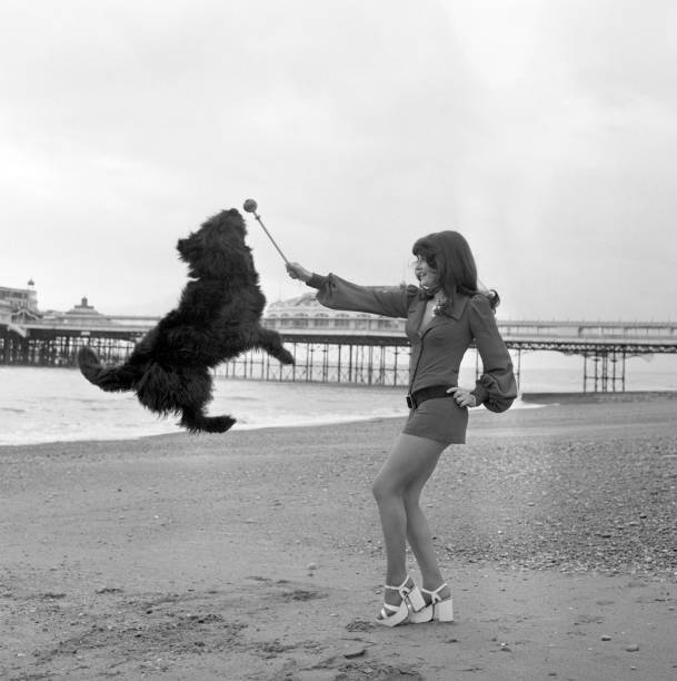 Dog Joins Fun Carolyn Moore Miss Great Britain 1972 They Play Flik- 1973 Photo