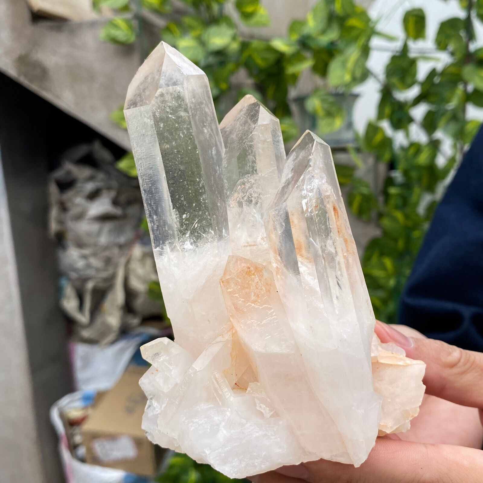 560g Natural Clear White Quartz Crystal Cluster Rough Healing Specimen