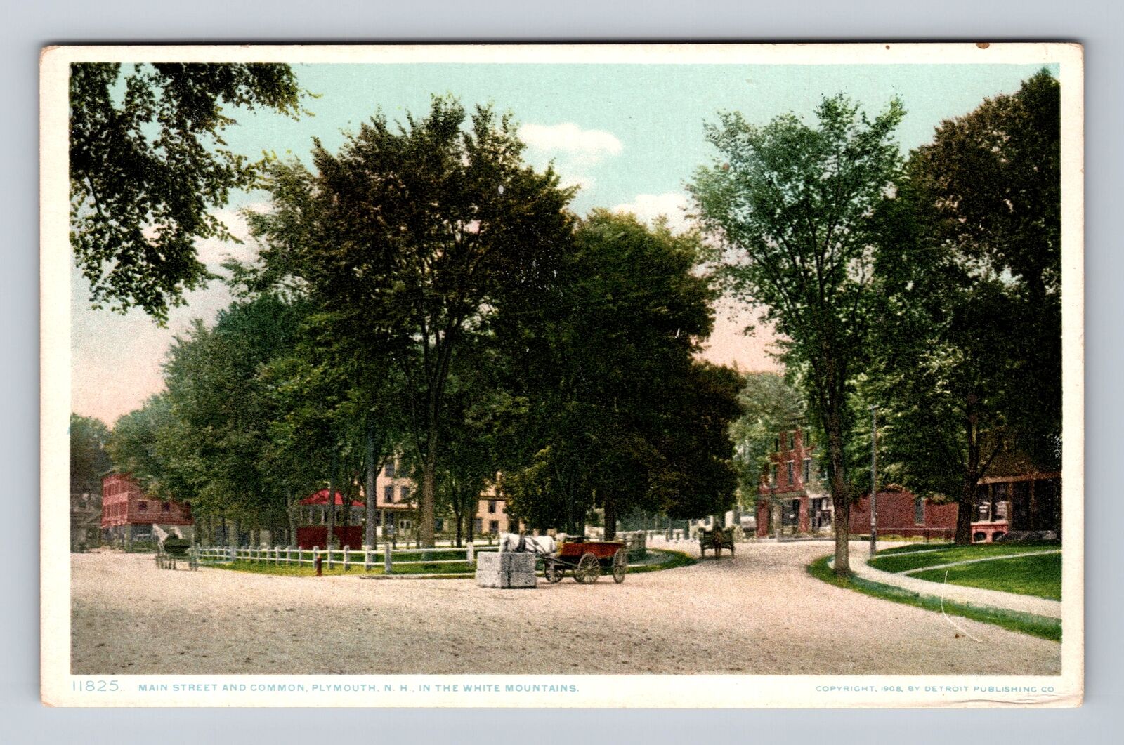 Plymouth NH-New Hampshire, Main Street And Common, Antique, Vintage Postcard