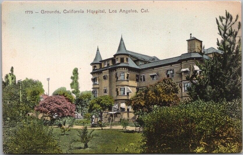 1910s LOS ANGELES Calif. Hand-Colored Postcard CALIFORNIA HOSPITAL Grounds View