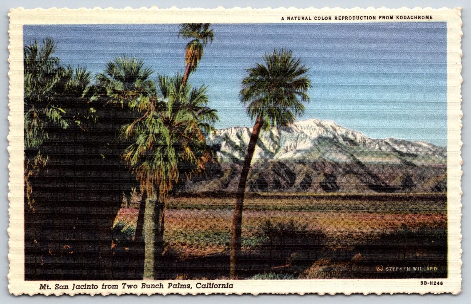 Postcard Mt. San Jacinto From Two Bunch Palms, Palm Springs California Unposted