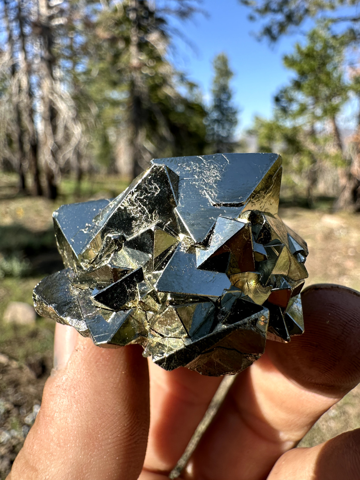 Very Sharp Octahedral Pyrite, Crystallized Vug on Bottom Huanzala Mine, Peru