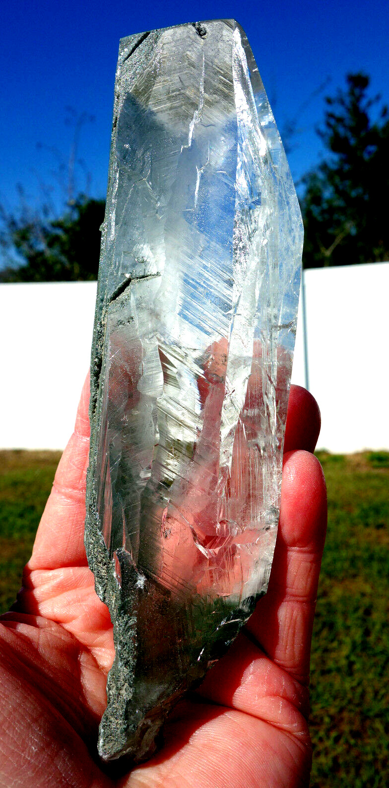 True Himalayan Super WATER CLEAR QUARTZ Scepter Crystal Point w Green Chlorite
