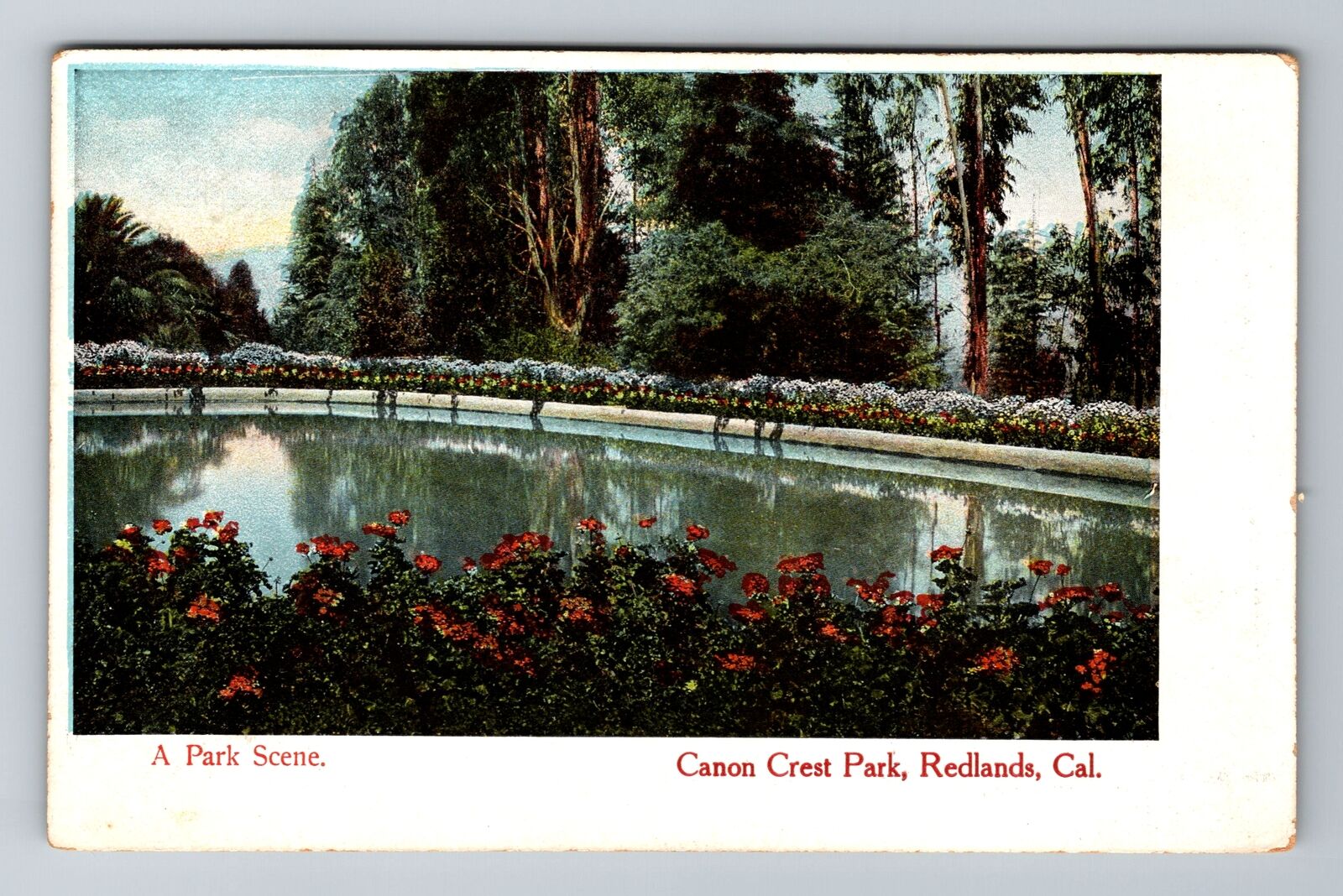 Redlands CA-California, Canon Crest Park, Antique Vintage Souvenir Postcard