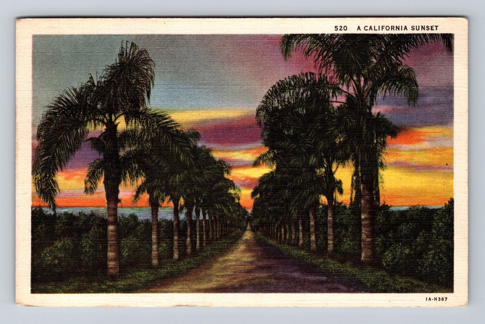 CA-California, Scenic Views Sunset in California, Antique Vintage c1936 Postcard