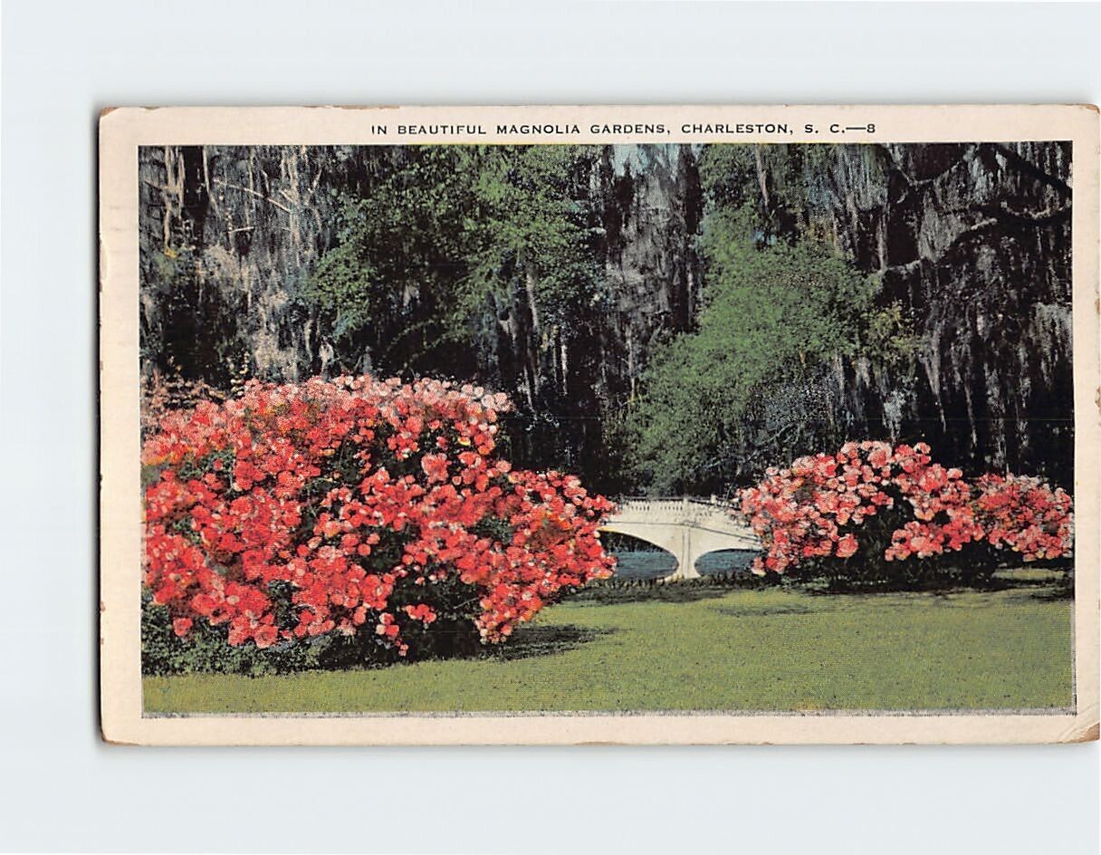 Postcard Beautiful Magnolia Gardens Charleston South Carolina USA