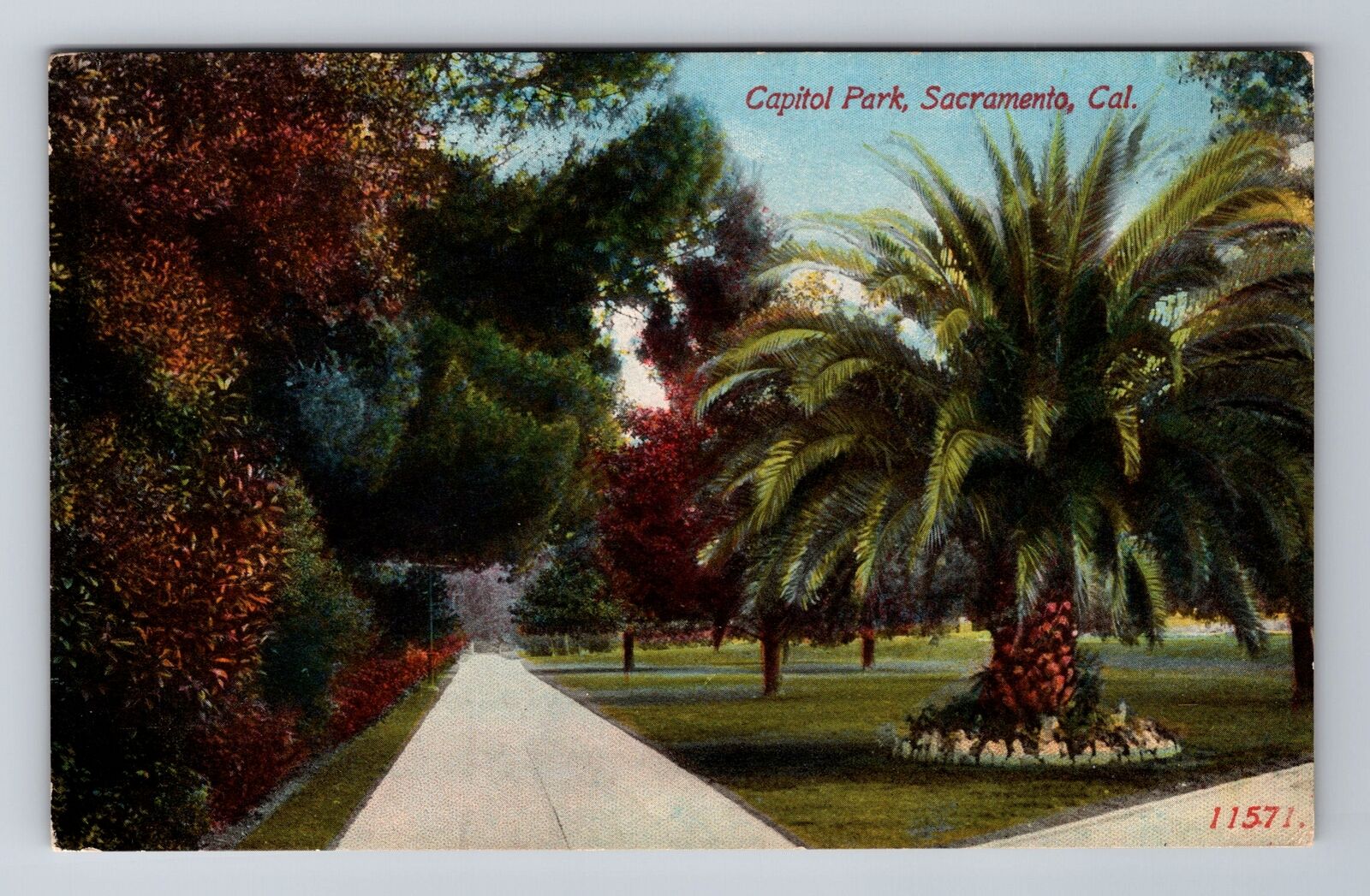 Sacramento CA-California, Capitol Park, Antique Vintage Souvenir Postcard