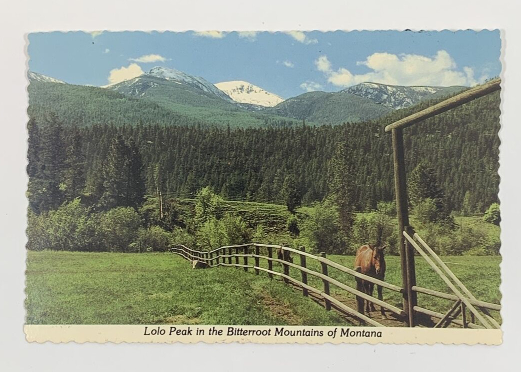 Lolo Peak in the Bitterroot Mountains of Montana Postcard
