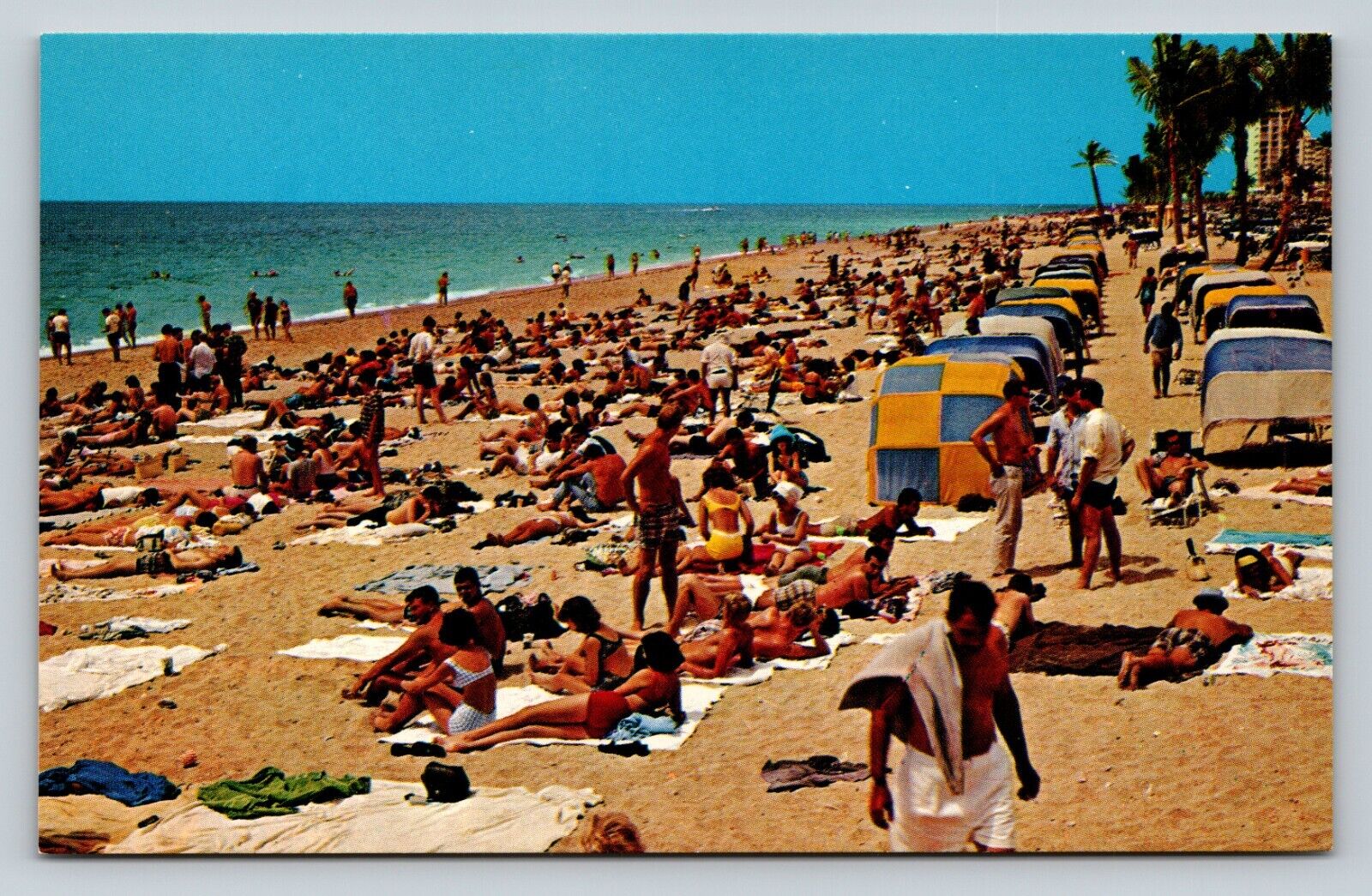 Crowded Beach At Fort Lauderdale Swimsuits Fashion Swimming VINTAGE Postcard