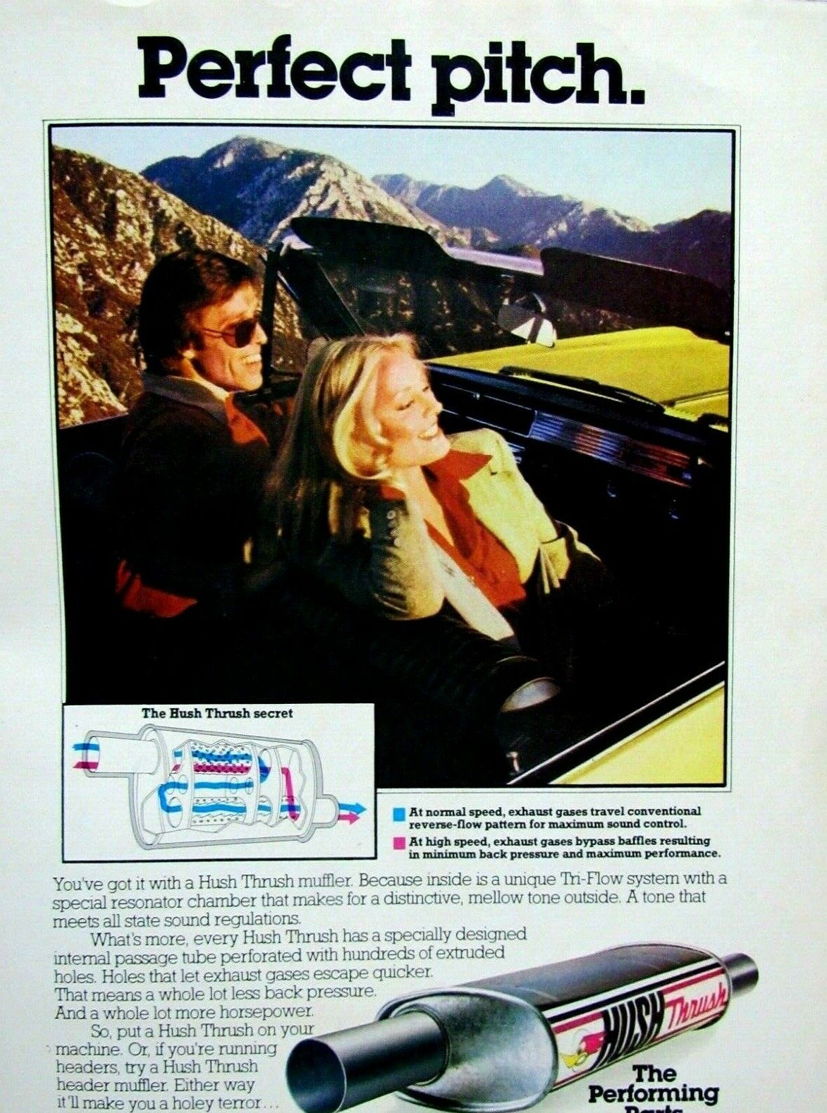 1979 Thrush Perfect Pitch Original Vintage Print Ad 8. x 11\