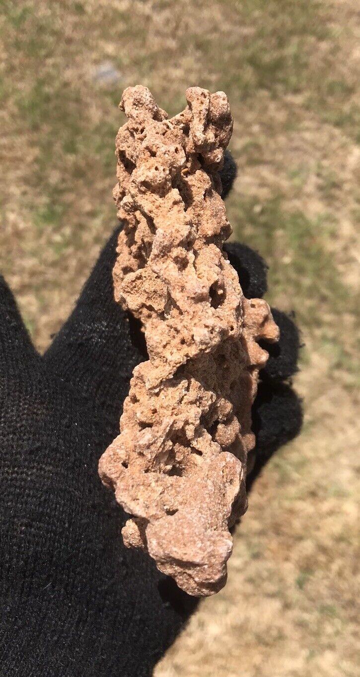 HUGE Rare large piece Fulgurite Lightning Stone Florida 321g Rough Raw Mineral