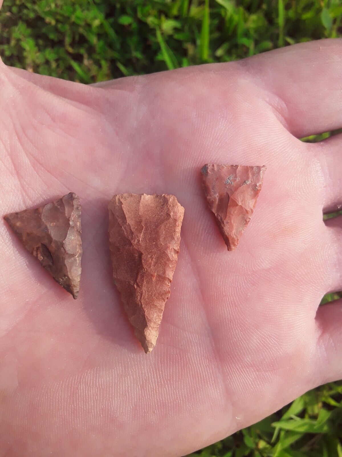 3 Ancient Madison Arrowheads Native American  pre 1600 N MS Color  Artifact Bird