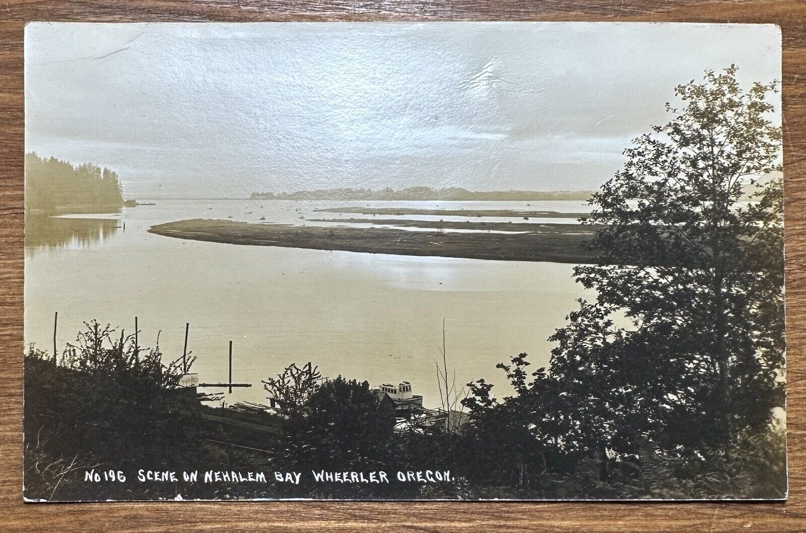 Nehalem Bay Wheeler Oregon Tillamook Co. RPPC Postcard c 1914 Garibaldi Postmark