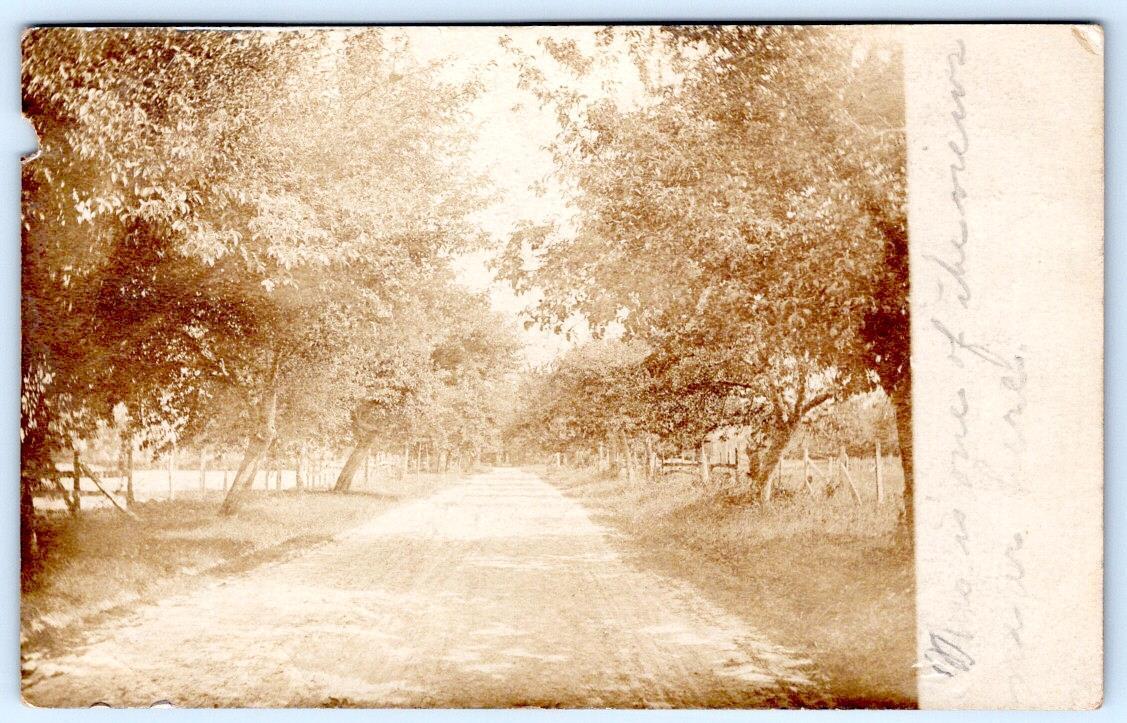 1908 RPPC ROYAL OAK MARYLAND MD POSTMARK TREE LINED DIRT ROAD SCENE POSTCARD