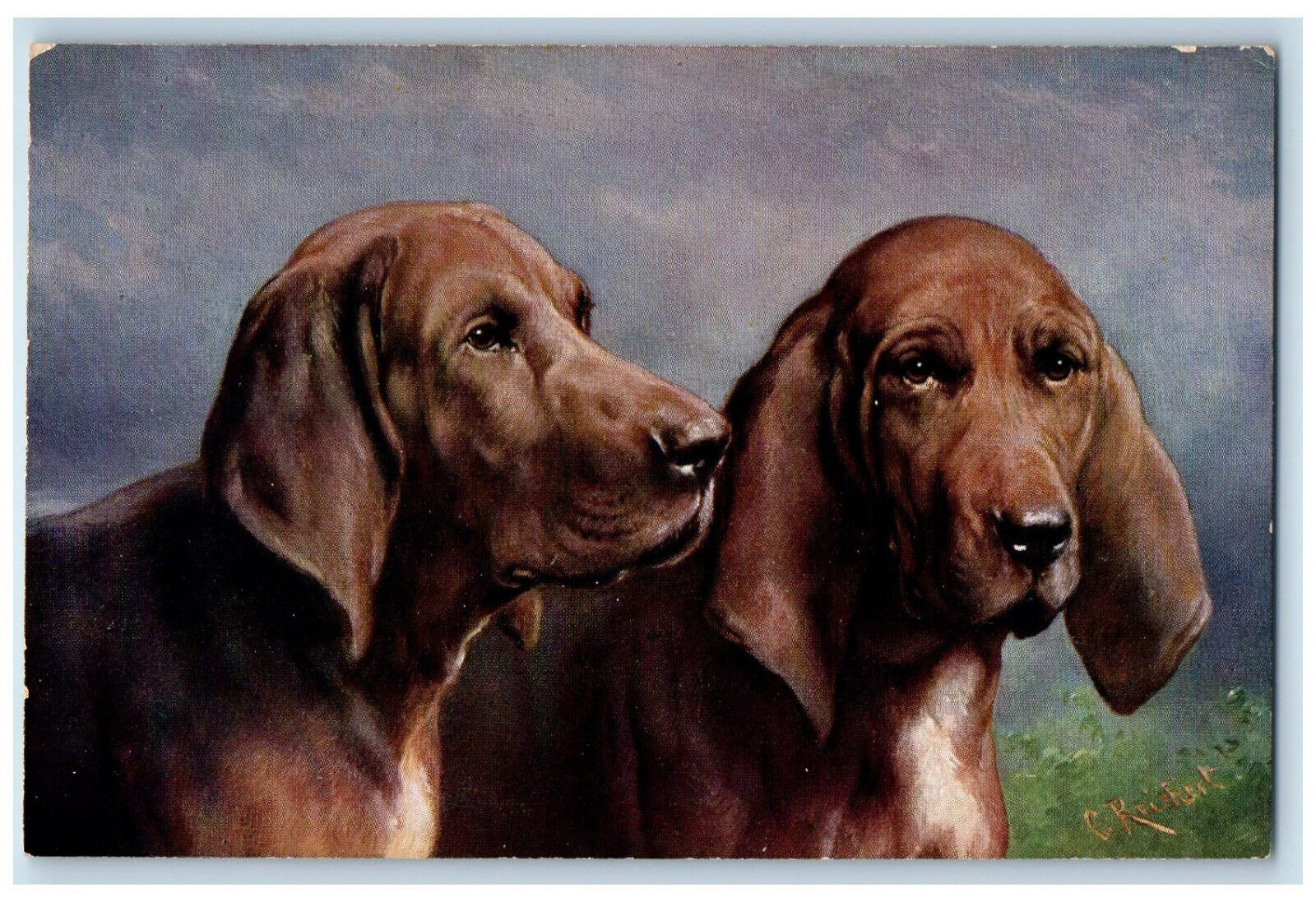 Postcard View of Two Bloodhounds c1910 Antique Unposted Oilette Tuck Dogs
