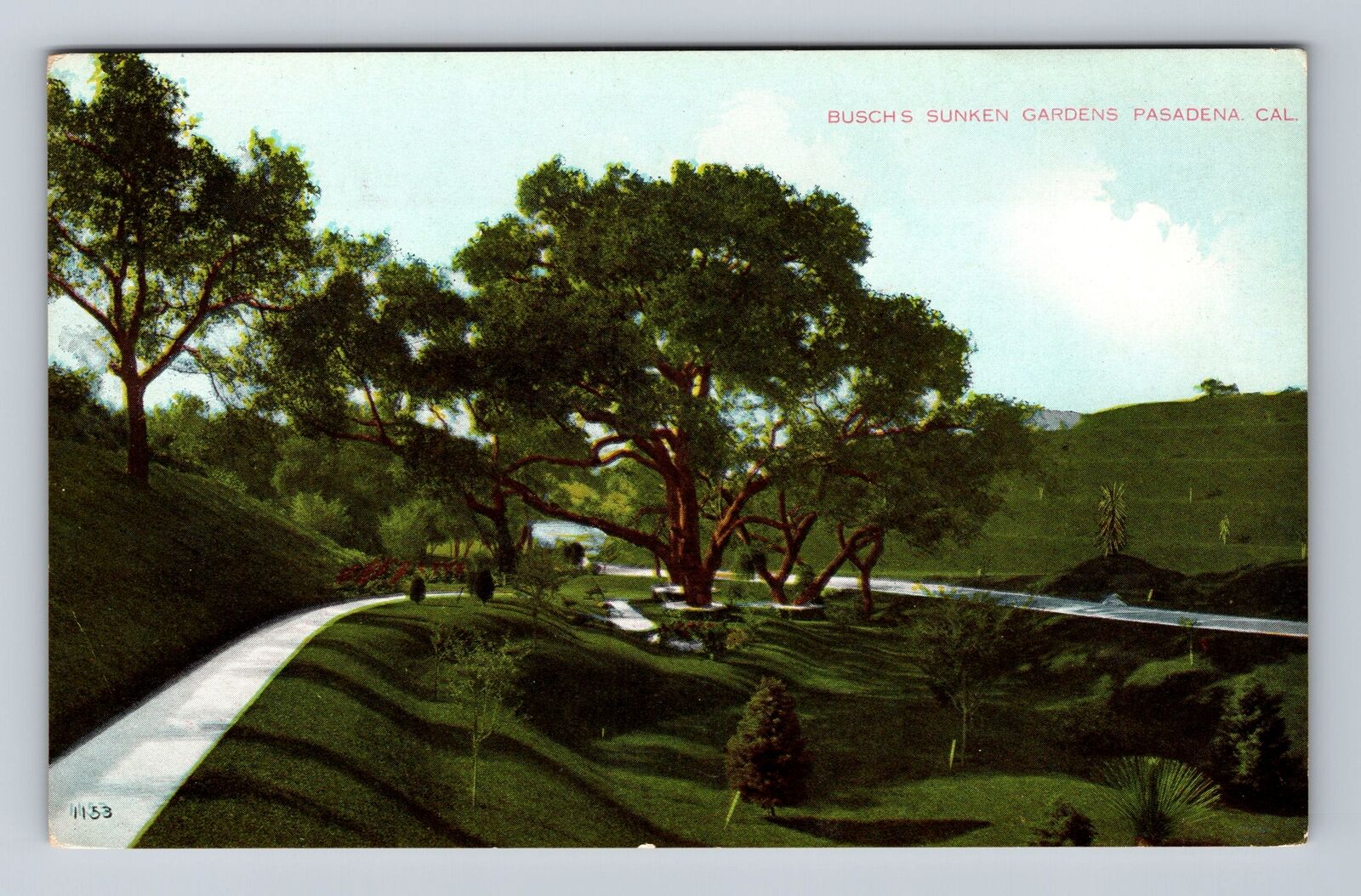 Pasadena CA-California, Busch's Sunken Gardens, Antique, Vintage Postcard
